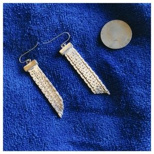 Silver Long Tasseled Earrings